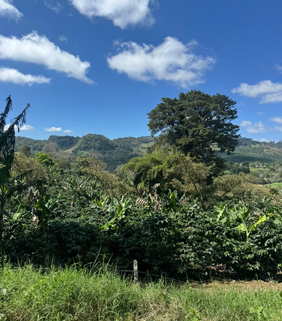 Nicaragua 70/30
